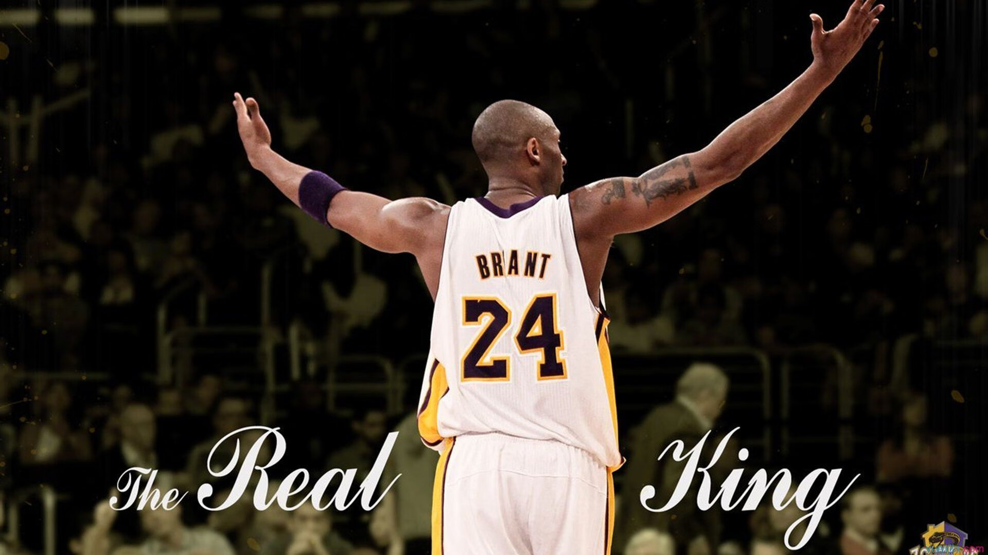 欧文成为胜负手,F1新赛季揭幕战之夜,体育如何消解世界的敌意?