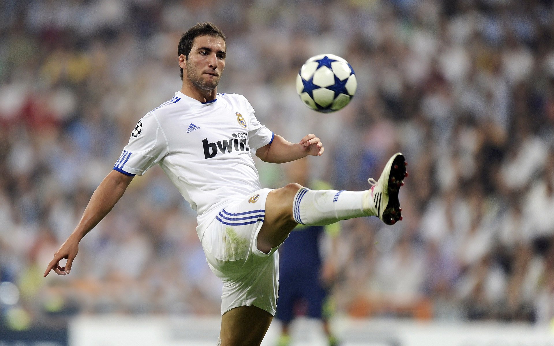 格列兹曼一箭穿心，塞内加尔悲壮倒下，多特蒙德惊险晋级